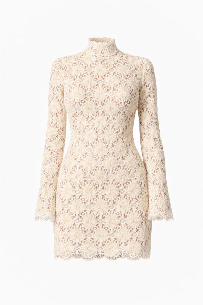 Kleid aus bestickter Spitze