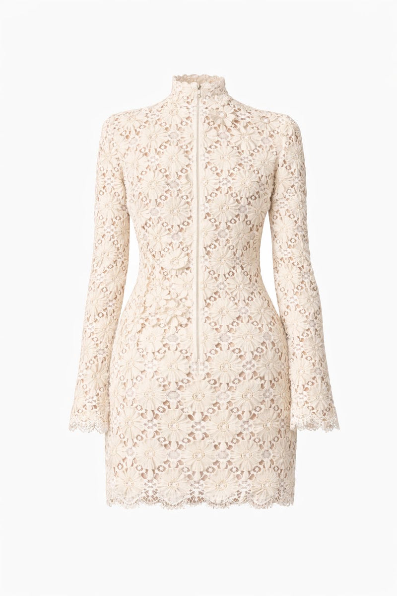 Kleid aus bestickter Spitze