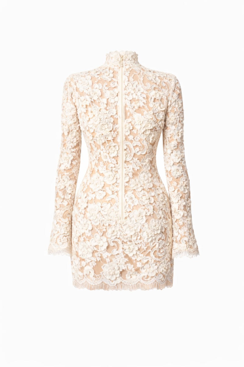 Kleid aus Wollspitze